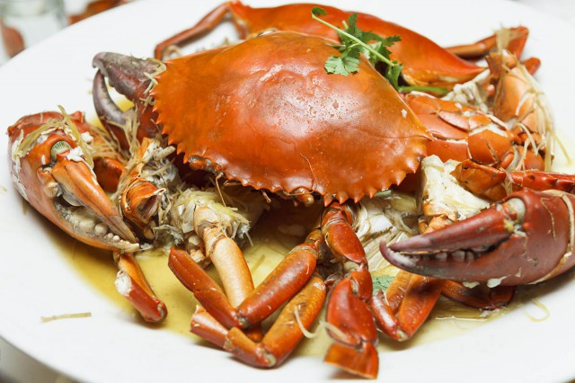 EAT ALL YOU CAN CRABS & SEAFOOD @ CHATZ BRASSERIE 