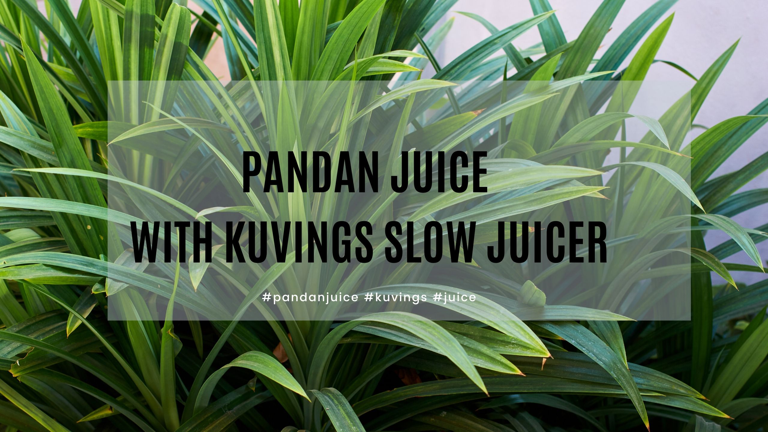How to make Pure Pandan Extract Malaysian Foodie