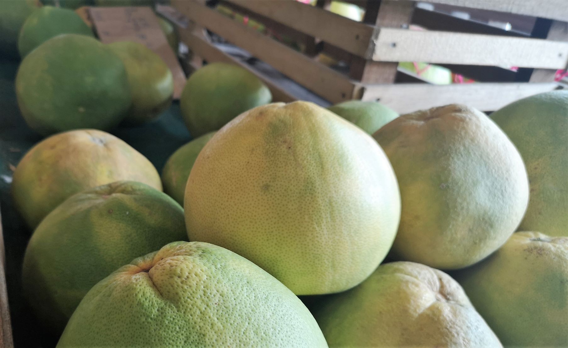 Tambun, Ipoh A place to purchase your pomelo Malaysian Foodie