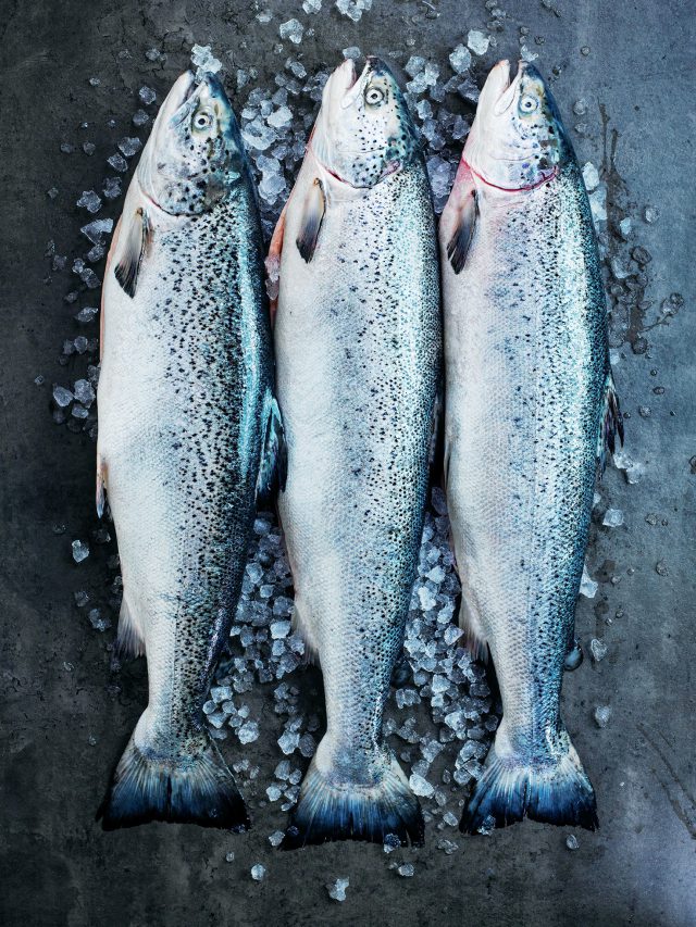 Celebrating 50 years of Norwegian salmon Malaysian Foodie