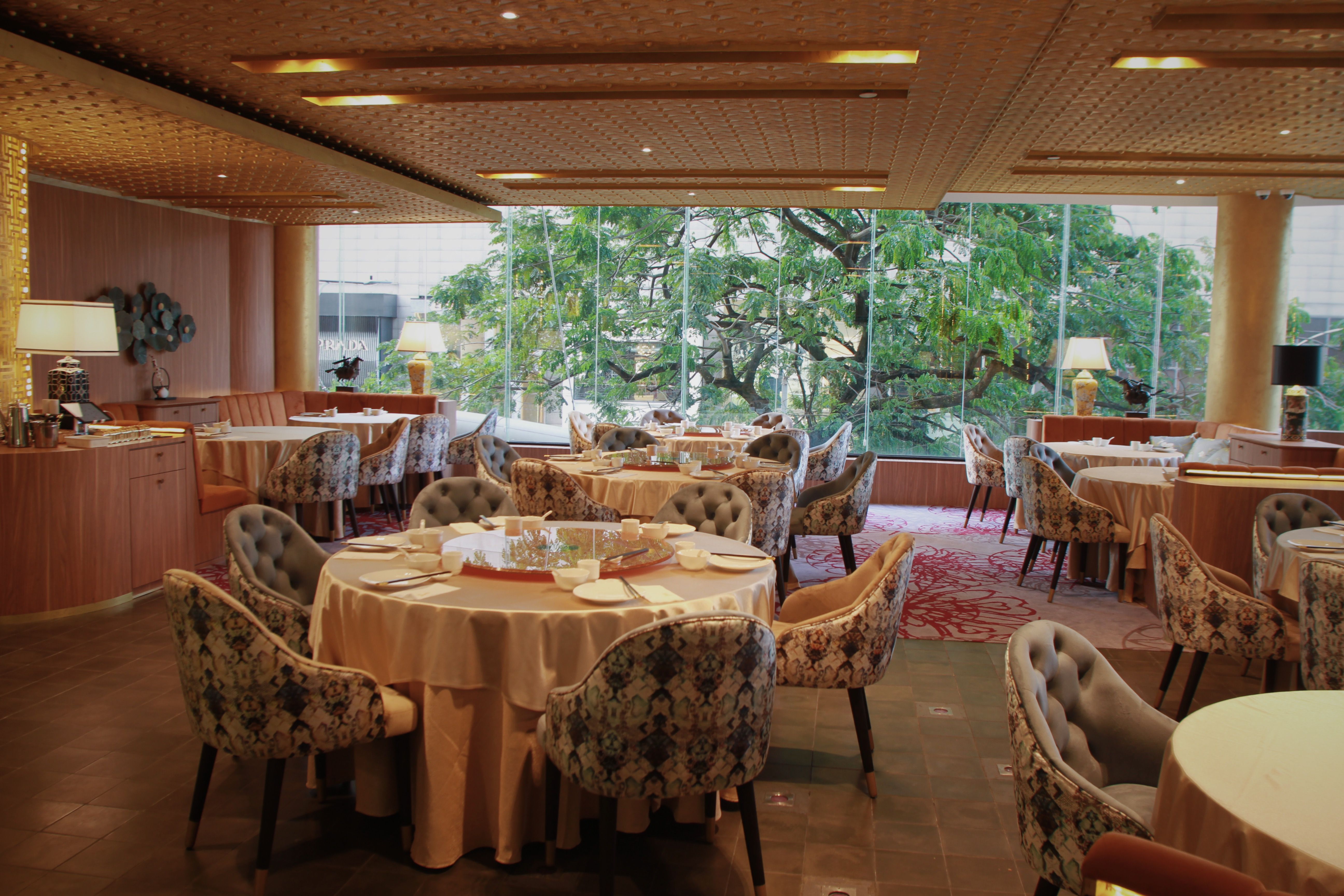 A Feast For The Senses Burlington Restaurants That Will Tantalize Your Taste Buds - zbrsoiq